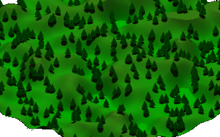 Picture of a forest
